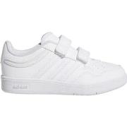Lage Sneakers adidas JI3481