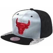 Pet Mitchell And Ness Day 5 Snapback Chicago Bulls