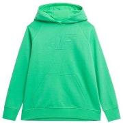 Sweater 4F SS23TSWSF53541S