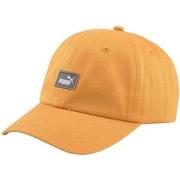 Pet Puma Ess Cap Iii