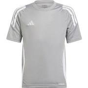 T-shirt Korte Mouw adidas IS1031