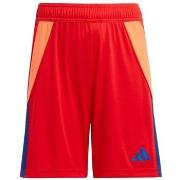 Korte Broek adidas Tiro 24