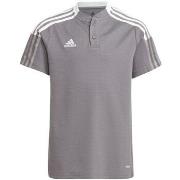 T-shirt Korte Mouw adidas Sport-polo Team Tiro 21
