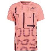 T-shirt Korte Mouw adidas Graphic Tee