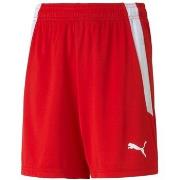 Korte Broek Puma Teamliga