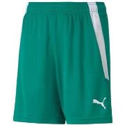Korte Broek Puma Teamliga