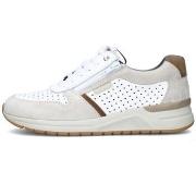 Lage Sneakers Valleverde V49904A