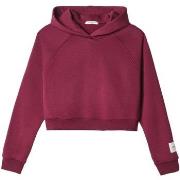 Sweater Hinnominate Cappuccio A Scatoletta Con Manica Raglan