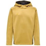 Sweater hummel Sweat à capuche Cima XK doré