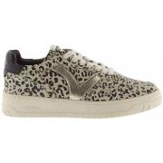 Lage Sneakers Victoria Baskets