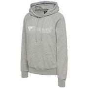 Sweater hummel Sweat à capuche Noni 2.0 gris