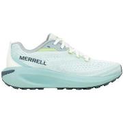 Hardloopschoenen Merrell Chaussures de running Morphlite