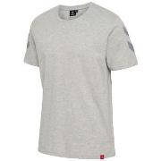 T-shirt Korte Mouw hummel T-shirt hmlLEGACY CHEVRON