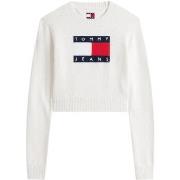 Trui Tommy Hilfiger TJW SPARKLE FLAG SWE DW0DW21690
