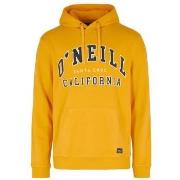 Sweater O'neill -