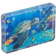 Beeldjes Signes Grimalt Magnetische Schildpad