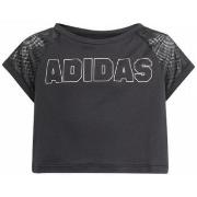 T-shirt Korte Mouw adidas is3776_cropped