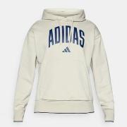 Sweater adidas M COLLEGIATE HD