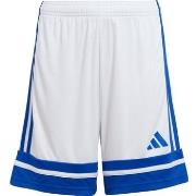 Korte Broek adidas Squadra 25