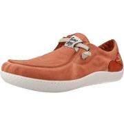 Instappers Sunni Sabbi KUNASH