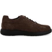 Lage Sneakers Melluso U55438-253078