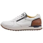 Lage Sneakers Kangaroos 844