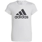 T-shirt Korte Mouw adidas Big Logo Tee Jr