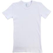 T-shirt Korte Mouw Abanderado A0252-001