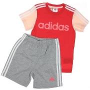 Trainingspak adidas -