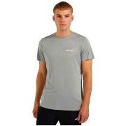 T-shirt Korte Mouw Ellesse T-shirt Malbe gris