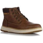 Lage Sneakers Skechers 205235BRN