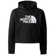 Sweater The North Face Sweat à capuche Drew Peak pour fille