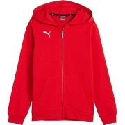 Sweater Puma TeamGoal
