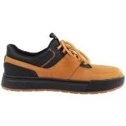 Lage Sneakers Timberland De Sport Maple Grove