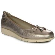 Ballerina's Maciejka P650425001