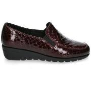 Instappers St. Gallen ADELFA