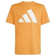 T-shirt Korte Mouw adidas KB6808000