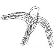 Beeldjes Signes Grimalt Pájaro Muur Ornament