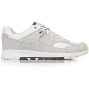 Lage Sneakers Timberland Field Trekker