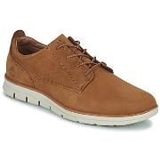 Lage Sneakers Timberland BRADSTREET