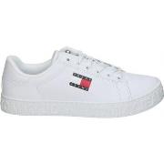Lage Sneakers Tommy Hilfiger EN0EN02703YBS