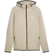 Sweater Puma Evostripe Fz Hoodie Dk