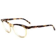 Zonnebril Dsquared dq503356a