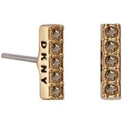 Oorbellen Dkny 5520081