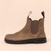Low Boots El Naturalista 2526211LY005