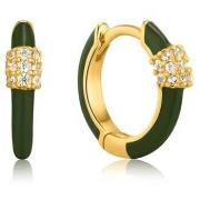 Oorbellen Ania Haie e03101gg