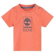T-shirt Korte Mouw Timberland -