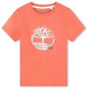 T-shirt Korte Mouw Timberland -