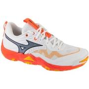 Fitness Schoenen Mizuno Wave Momentum Elite