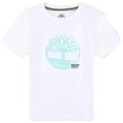 T-shirt Korte Mouw Timberland -
